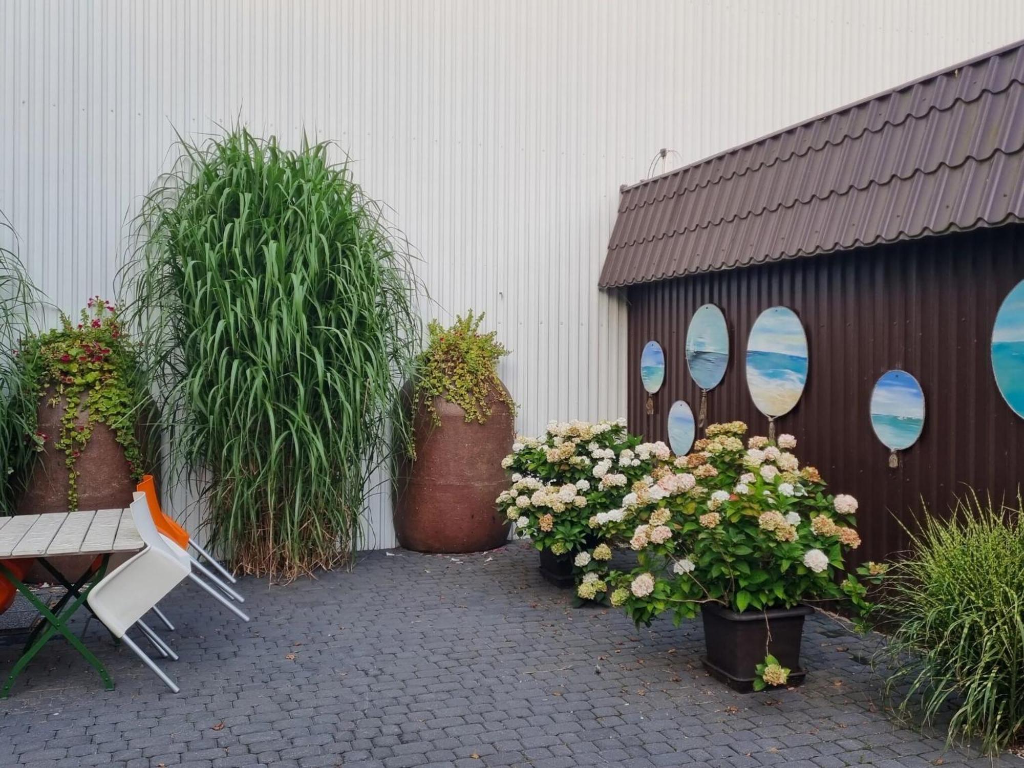 Comfortable Holiday Homes Close To Sea, Grzybowo グジボボ エクステリア 写真